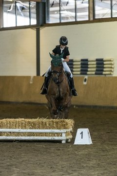 Bild 125 - Pony Akademie Turnier